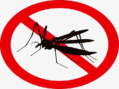 万江消杀虫害有哪些有效灭蚊子的办法