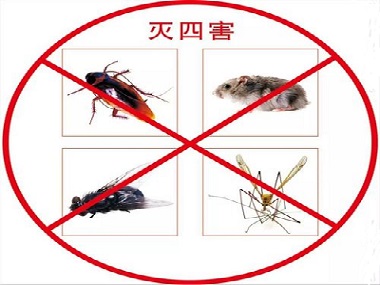 长安除四害杀虫没有看到害虫出现，有必要定期虫害防治吗？