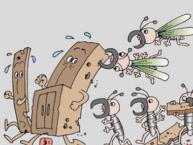 东莞白蚁防治公司家庭白蚁危害的主要表现